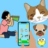 麻花视频纯净版免费最新版